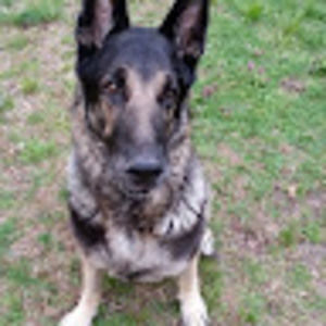 Meet your Posher, Jim